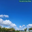 신호초등학교 이미지