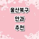 곽안과의원 | 울산 북구 안과 전문병원 잘하는곳 추천 | 토요일 일요일 야간진료 당직 명의