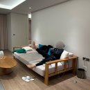 미가횟집 - 양산시 양주3길 13 | 카시아속초 2박 숙박기 & 근처 횟집 맛집 은진네횟집 & 곤드레밥집 & 황태구이 맛집 미가 내돈내산 후기