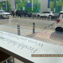 소금도화
