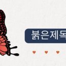 우리들 동물약품 이미지