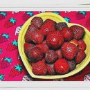 깨끗한환경 이미지