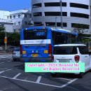 지산목련약국 이미지