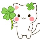 콩깍지노래연습장 이미지