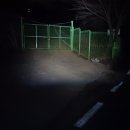 성남다온동물병원 이미지