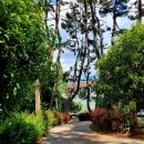 자산솔밭공원 이미지