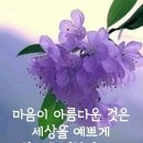 행복의료기 Daum카페