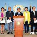 미르 뉴시스
