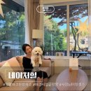 네이처힐 | 양평애견동반펜션 네이처힐 독채 바베큐 자쿠지 숙소