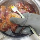 시온수산