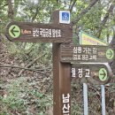 경주 남산종주 월정교에서 작봉까지~231019 이미지