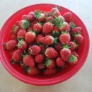 희수농장 이미지