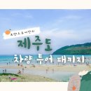 프랜드여행사 - 제주시 연북로 161 | 프랜드여행사