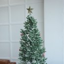 라떼온 | 경주애견동반카페 커피다루다 여름이 오기 전 망고빙수 흑임자크림피넛라떼 즐기고 온 후기