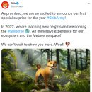 하나이누 이미지