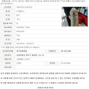 홍익동물병원 이미지