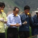 마을오리 이미지