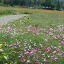 대부도공인중개사사무소 이미지