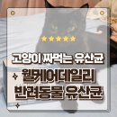 데일리동물병원 | 반려동물 짜먹는 유산균 웰케어데일리 기호성좋은 고양이 영양제추천