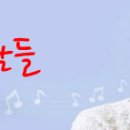 Movie 19 Plum Blossom 청춘 배두나 이미지