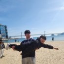 한반도태권도장 이미지