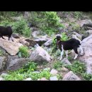 펜션YOON 이미지