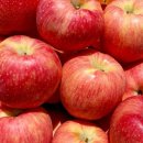 지엠식자재마트 | 새로운 동네 적응기🍿🍿