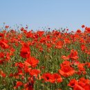 바다속으로 이미지