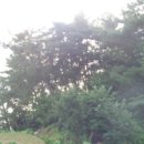 성덕동-3 이미지