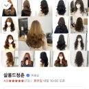 살롱드 청춘 이미지