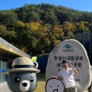 주왕산약수삼계탕