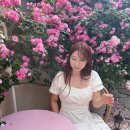 수원 행궁동 장미 카페 - 라 서우 콘테 포토 스팟