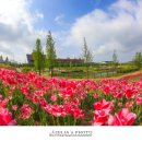 테마정원 이미지