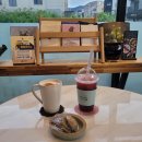 다육카페.봄봄 | 양산 석산 카페 봄봄, 다육이 카페에서 맘껏 다육이 즐기기!