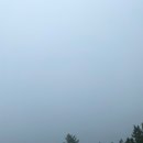 비고리조트 10 이미지