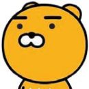 라이언 - 김천시 문화5길 18 | 라이언