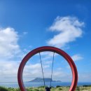 비자림빌리지1 이미지