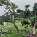 유앤아이펜션 이미지