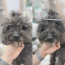 성오로101번길 이미지