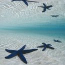 뱅뱅당구장 이미지