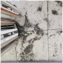 에덴테크 이미지