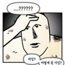주식회사 진짜녀석들