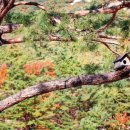 자비손노인복지센터 이미지