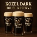 코젤다크하우스 | 🍺 해운대 데이트 필수 코스! 코젤다크하우스 피자, 나쵸 조합 미쳤다!