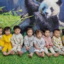 미소 ㅣ반 ㅡ오감활동(판다) 이미지