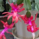 김영부동산공인중개사사무소 이미지