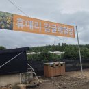 핑크돼지 이미지