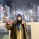 오꼬꼬 이미지