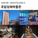 국립김해박물관, 가야 전문 박물관, 입장료, 주차 무료 (경남 김해 실내 아이랑 갈만한 곳)