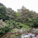 별빛이 예쁜 강원도 횡성 계곡 펜션 병지방 보다 프라이빗한 포인트